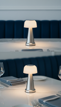 Cordless Lamp with Brushed Silver Accent